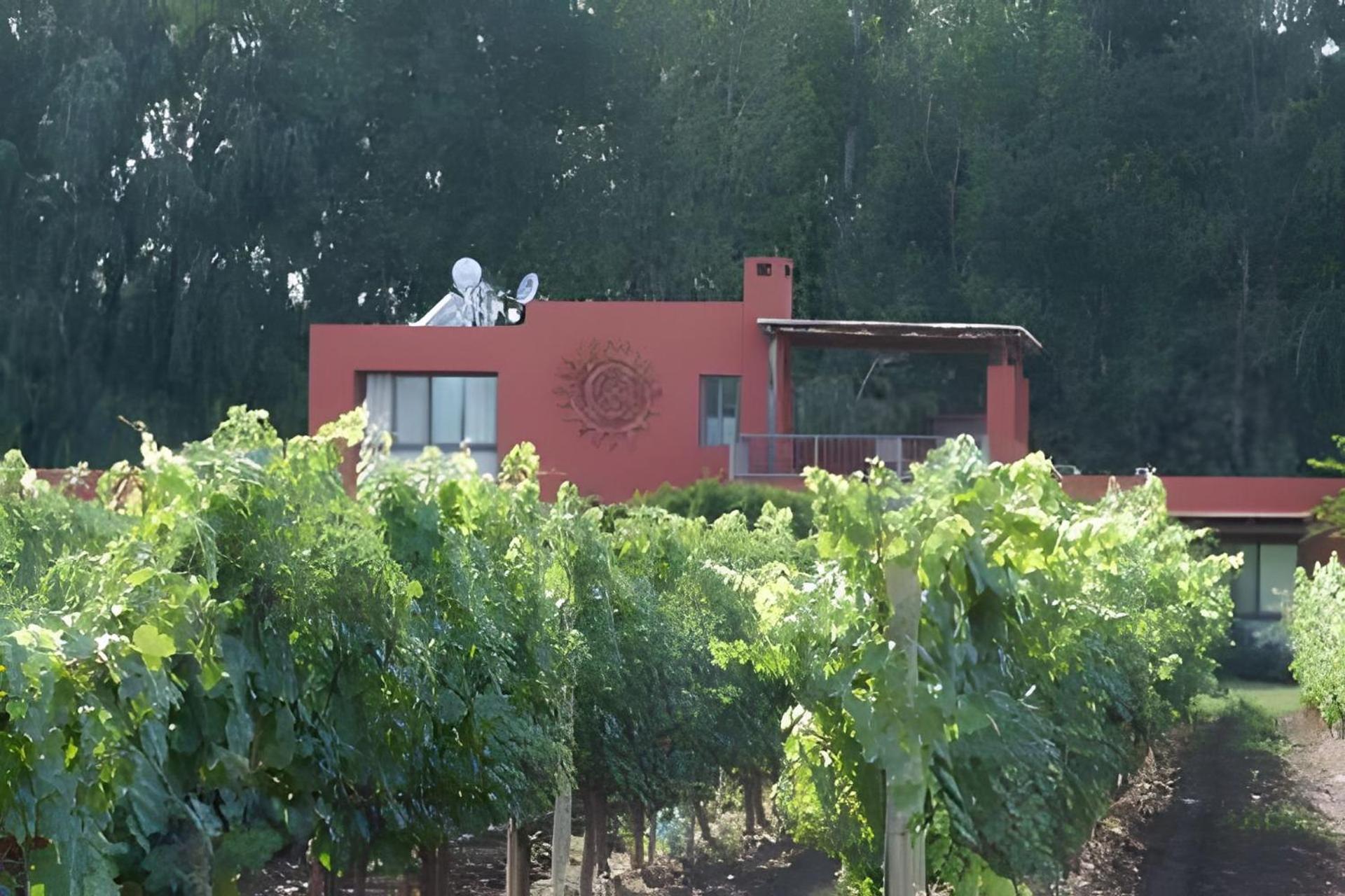 Finca Ogawa Los Sauces  Exterior foto